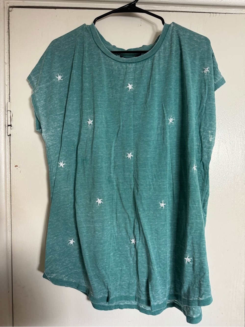 Woman’s shirt with turtles 2x